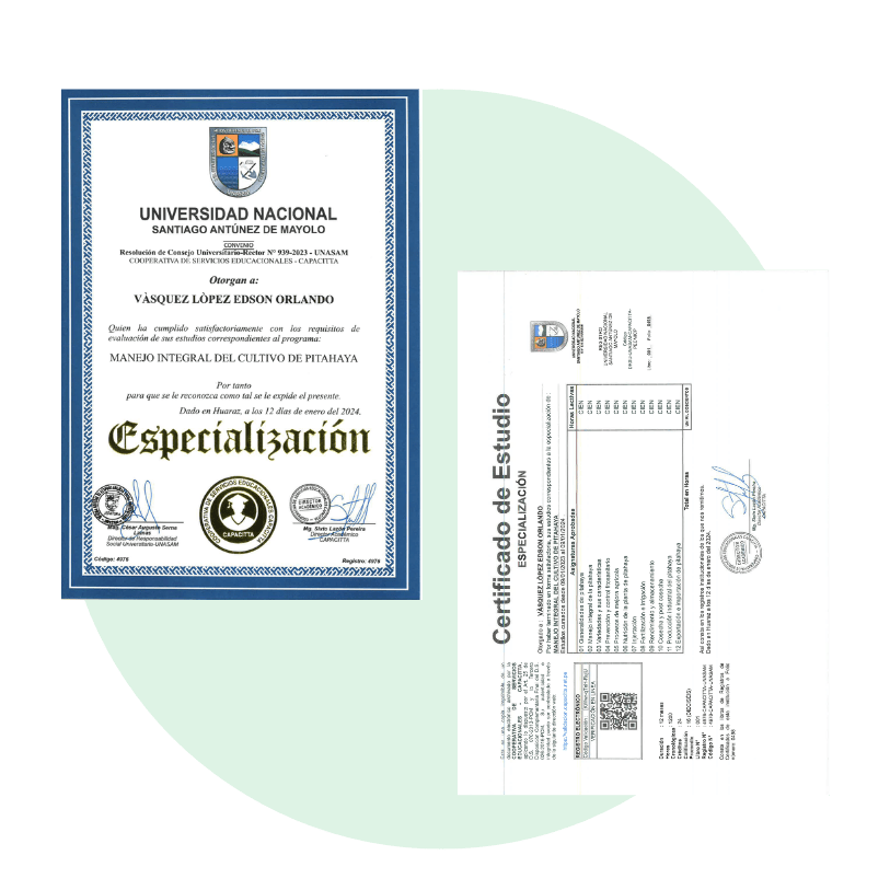 Certificación Universitaria